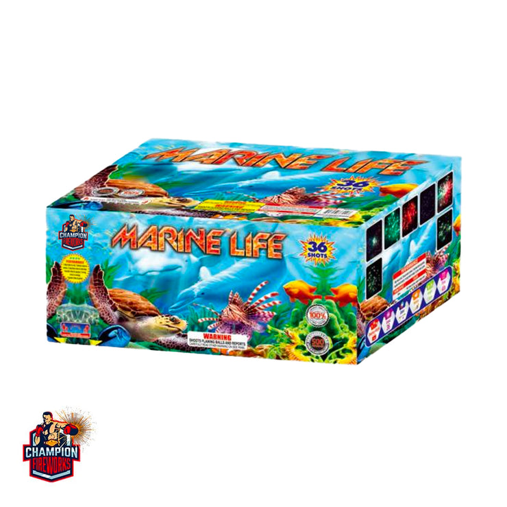 Marine Life